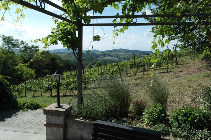 La Rocca Vineyards B&B Villa in the Vineyards